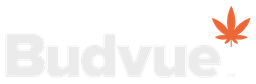 Budvue