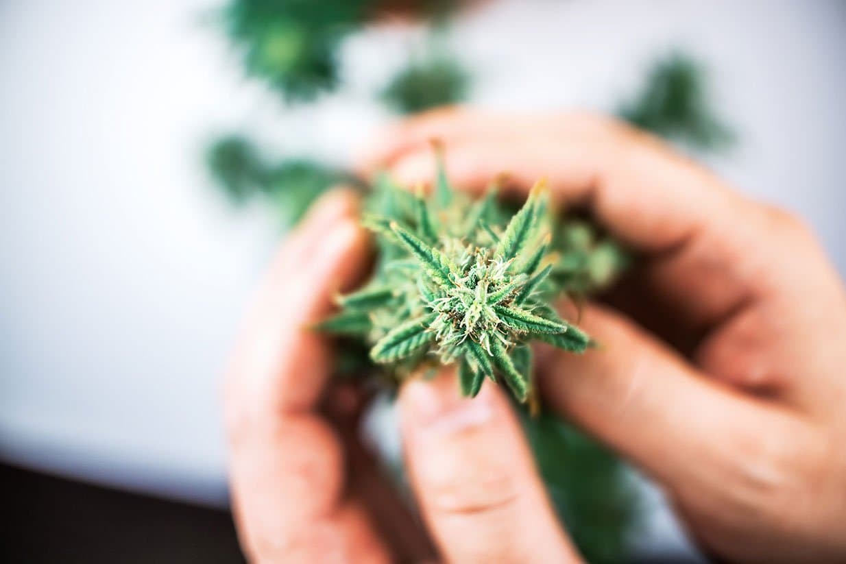 Launch with Impact: 3 Ways to Build Your Dispensary Brand