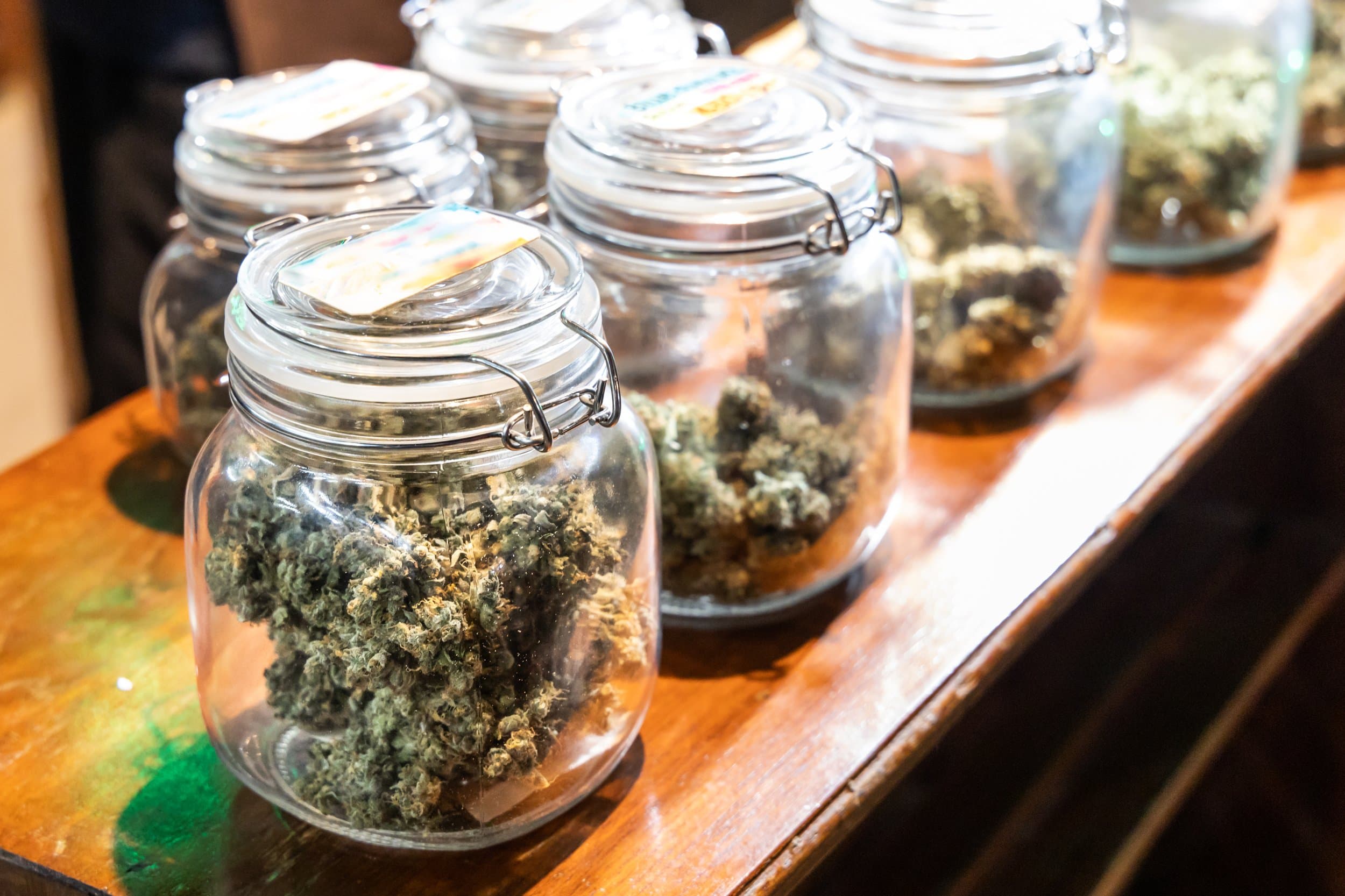 Choosing the Right Cannabis Digital Signage Company for Your Dispensary